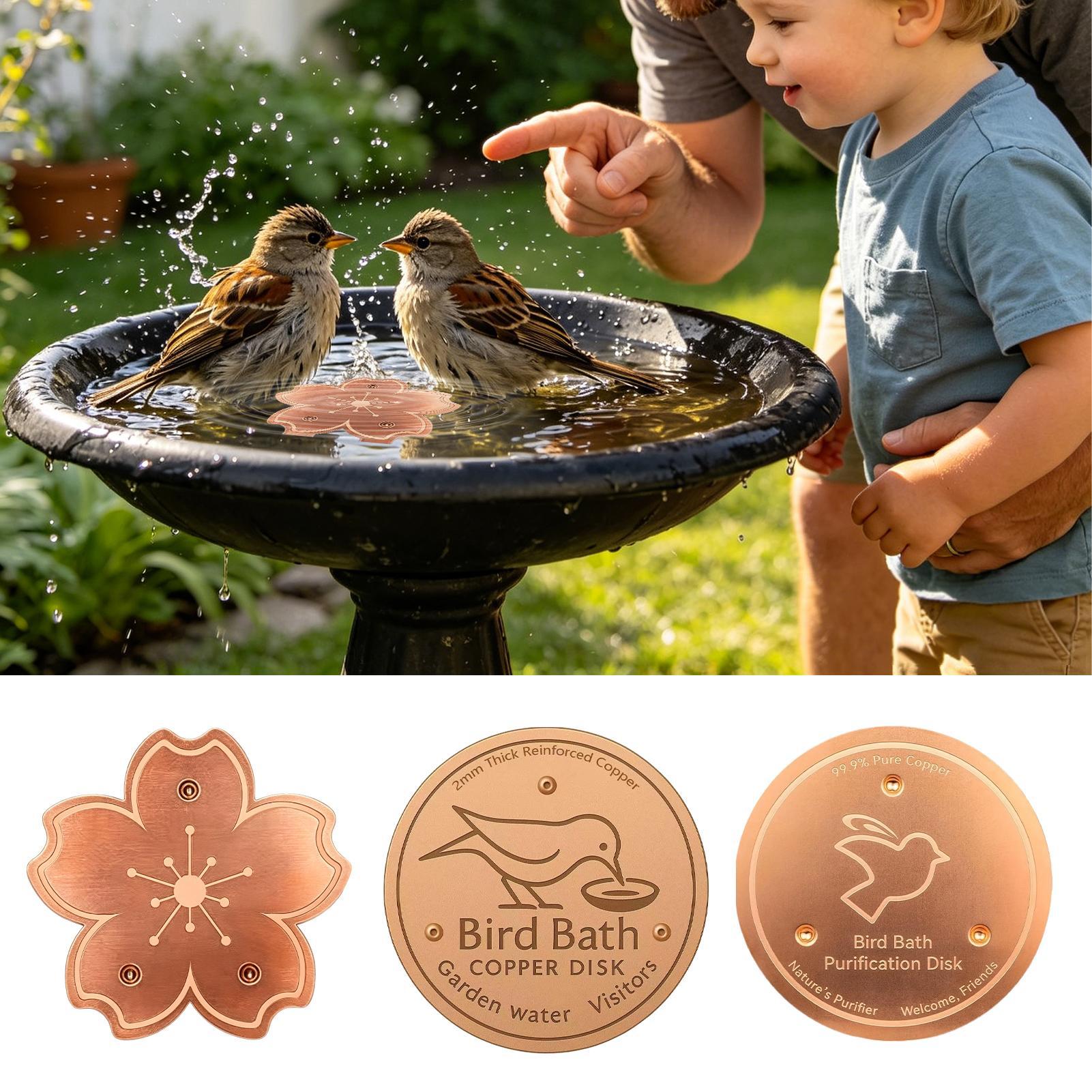 Copper For Bird Bath Safe Puri - Watches & Jewelry Lvmh ulasan dan harga